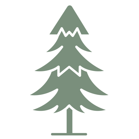 Evergreen