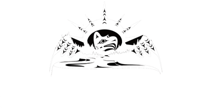 PNV_logo