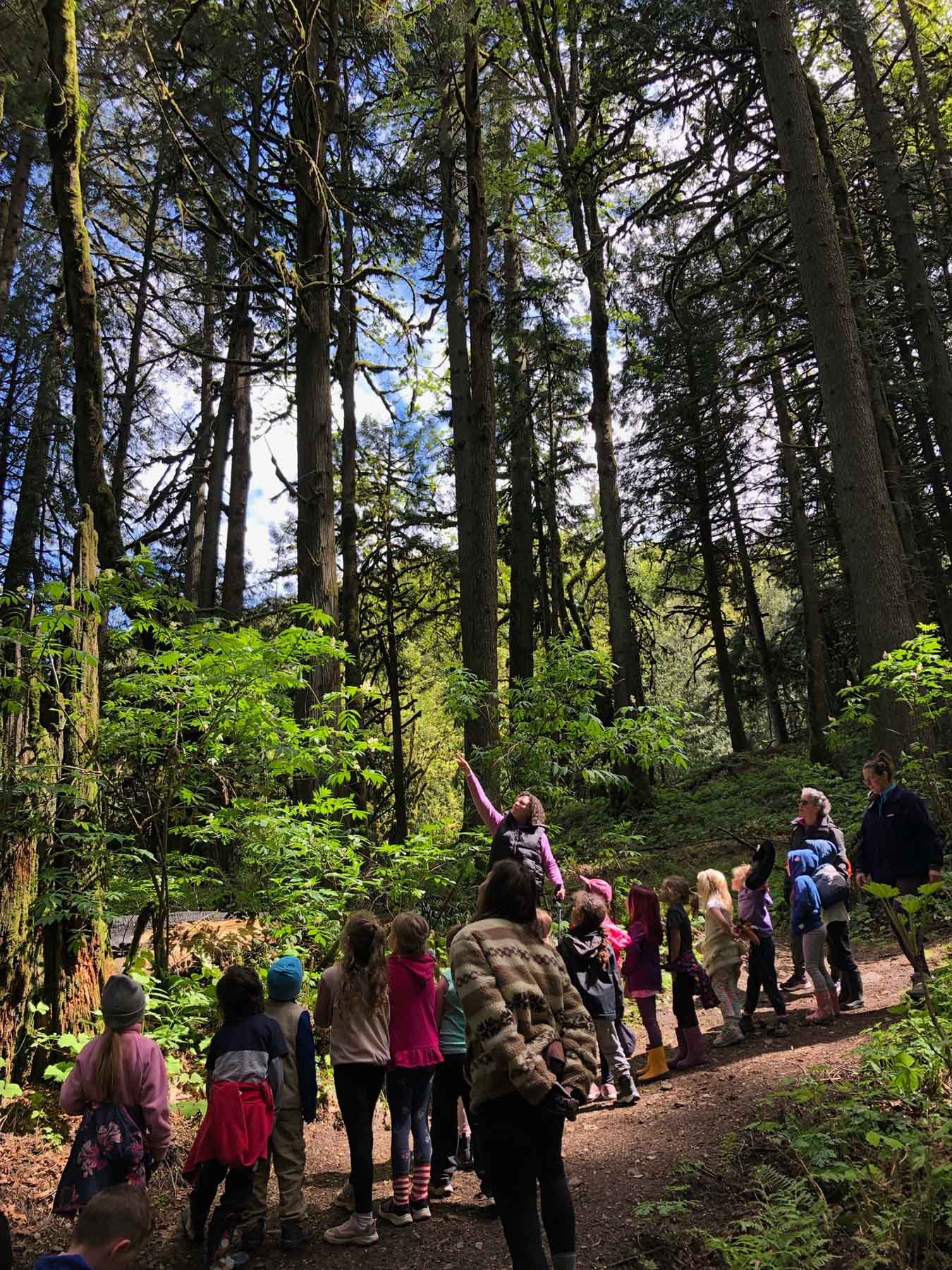 fieldtrip4 fieldtrip4