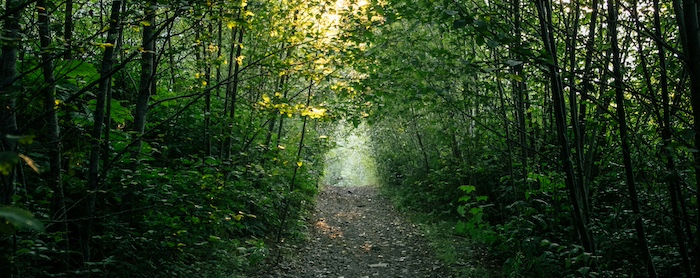 nicholas-bullett-2bDgA8-JOjI-unsplash