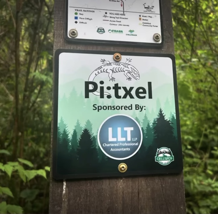 Pi:txel sign